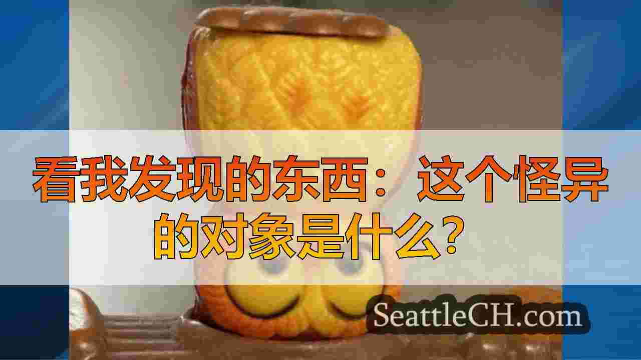 看我发现的东西：这个怪异的对象是什么？