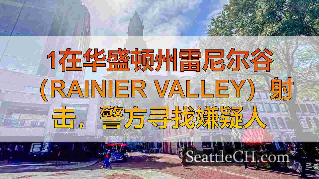西雅图新闻 SeattleCH
