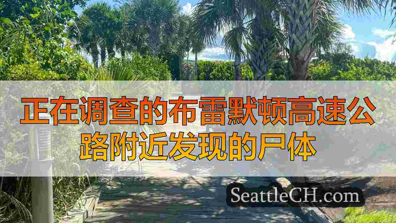 西雅图新闻 SeattleCH