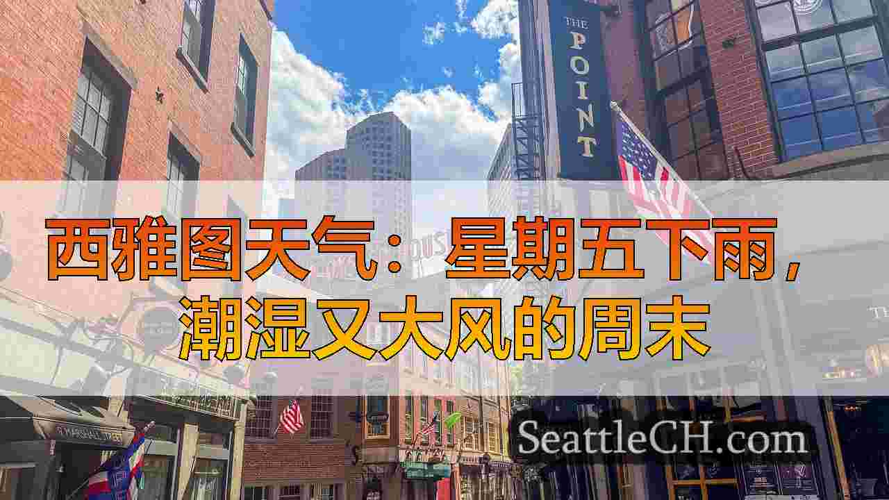 西雅图新闻 SeattleCH