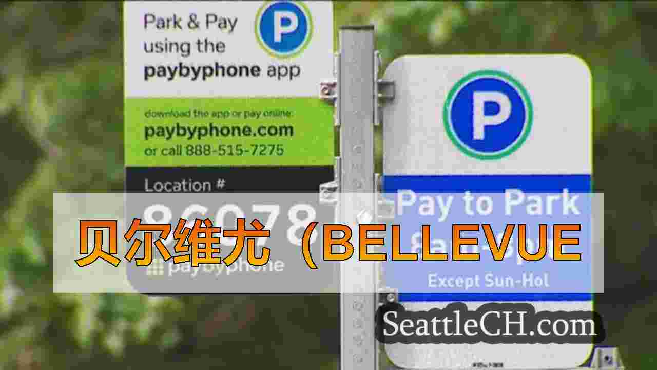 贝尔维尤（Bellevue