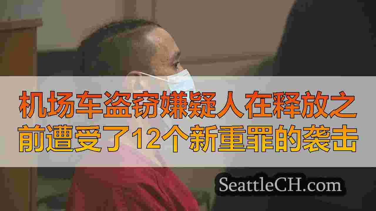 机场车盗窃嫌疑人在释放之前遭受了12个新重罪的袭击