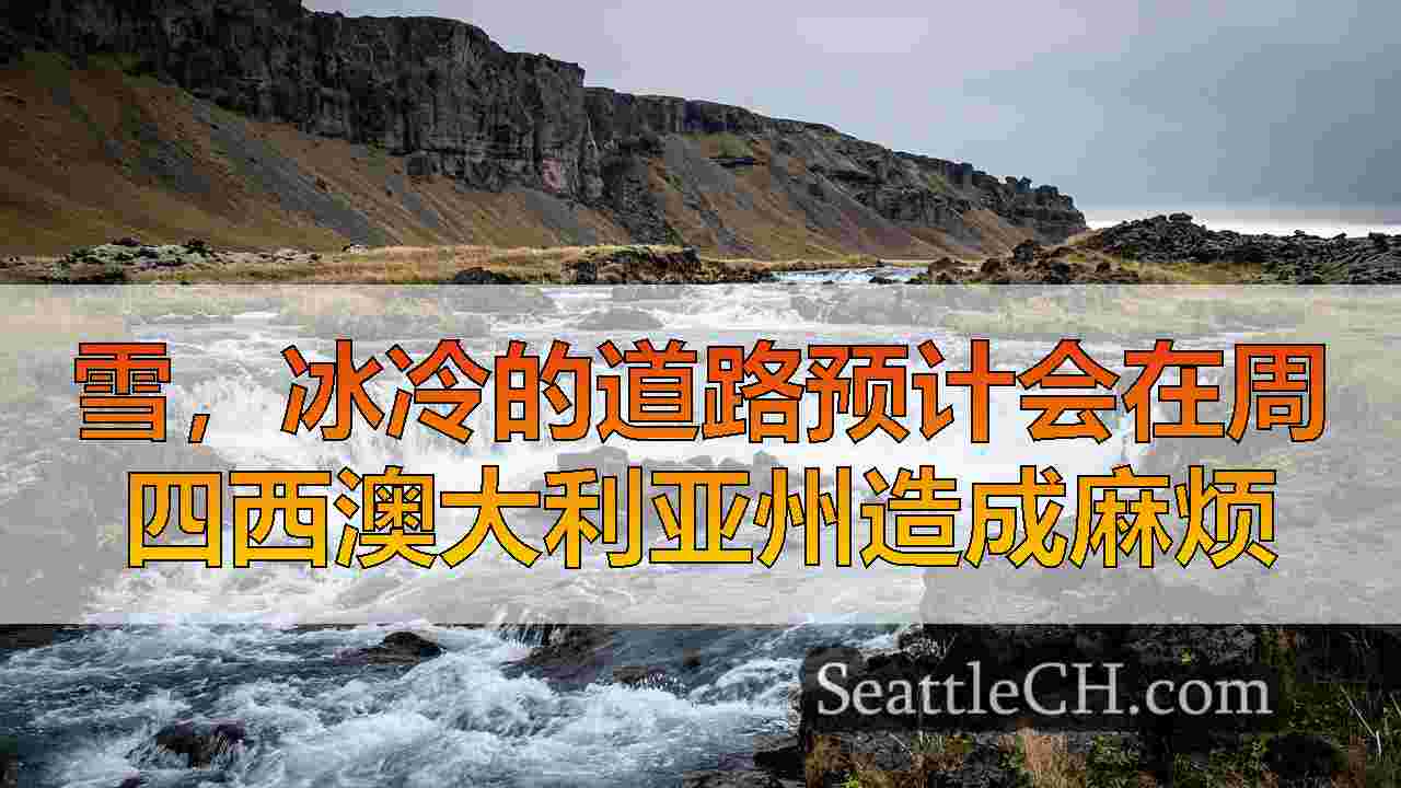 西雅图新闻 SeattleCH