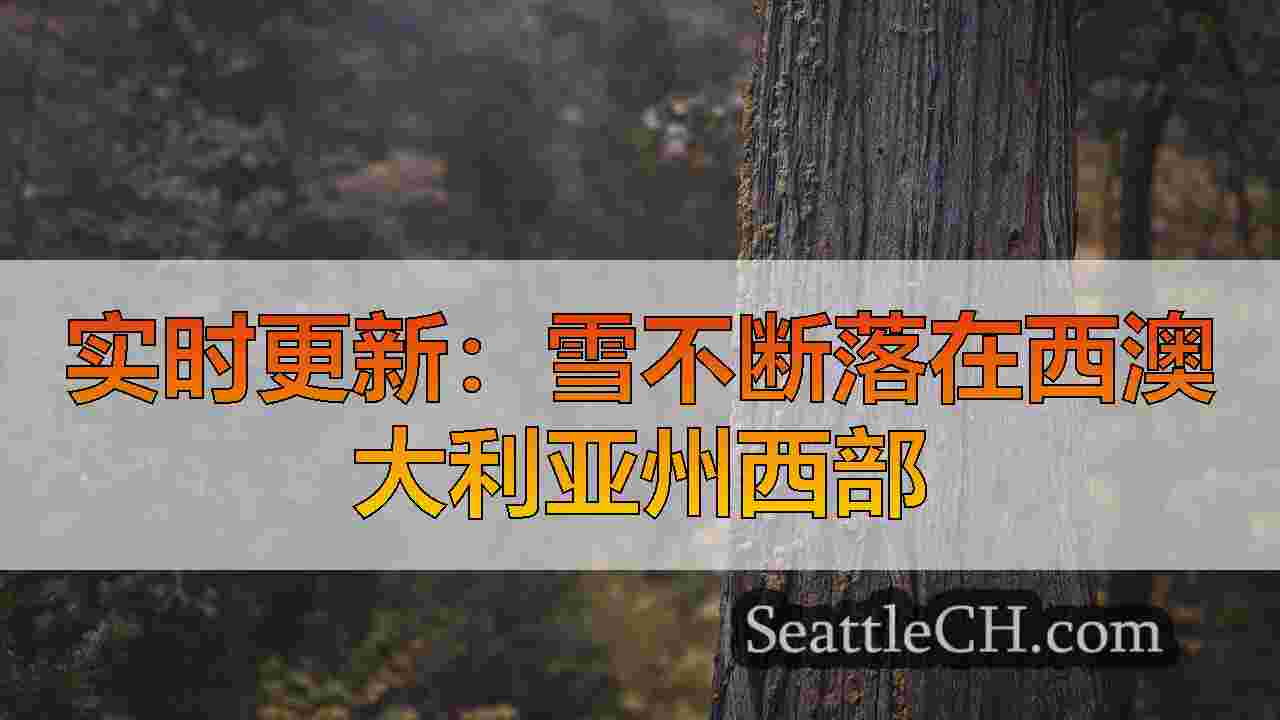 西雅图新闻 SeattleCH