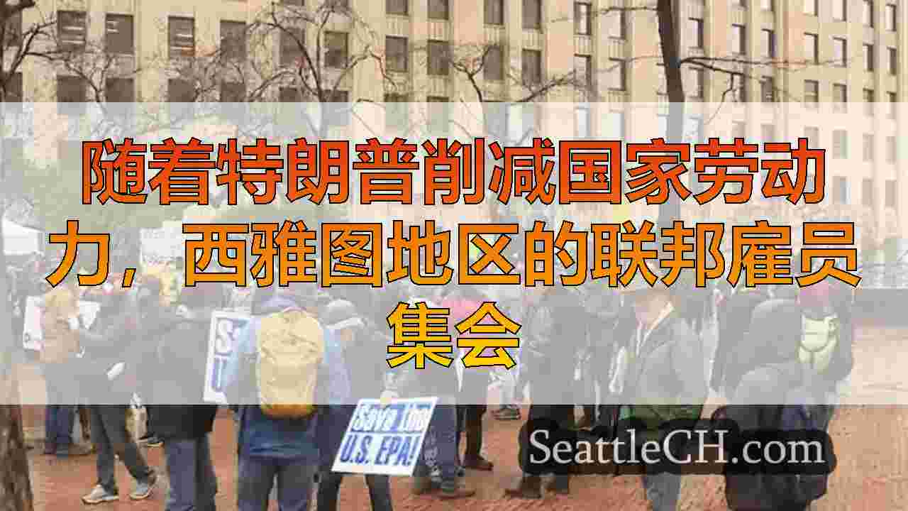 西雅图新闻 SeattleCH