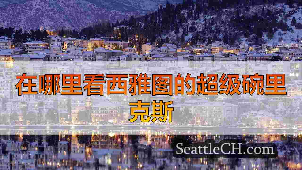西雅图新闻 SeattleCH