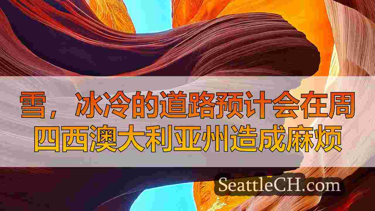 西雅图新闻 SeattleCH