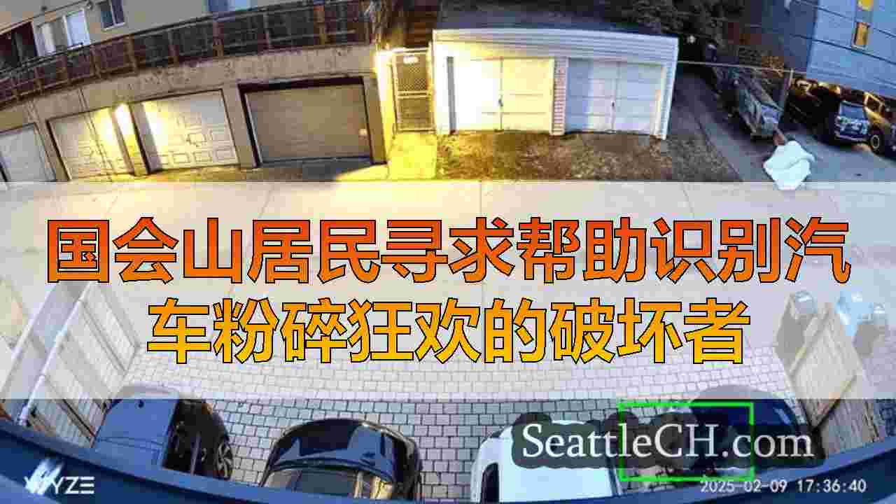 西雅图新闻 SeattleCH