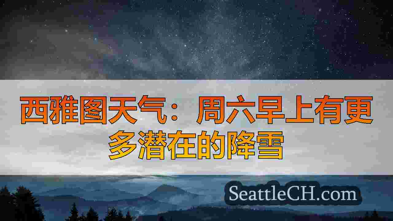 西雅图新闻 SeattleCH