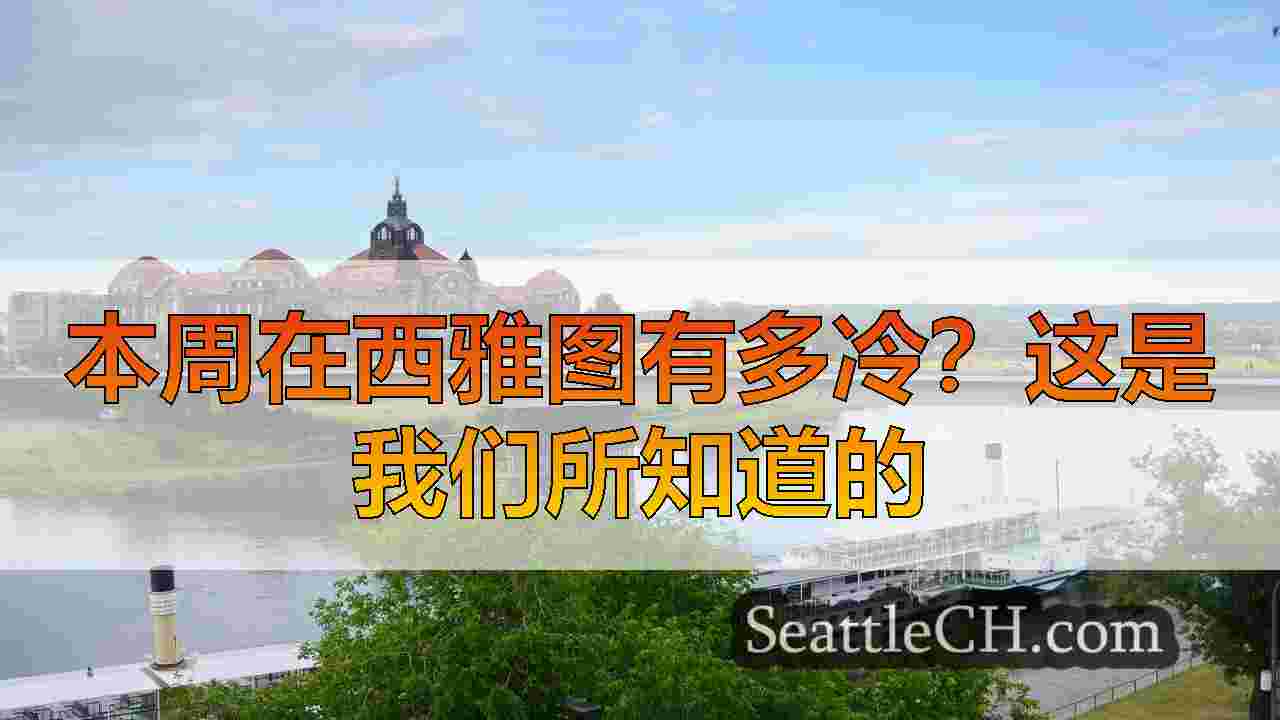 西雅图新闻 SeattleCH