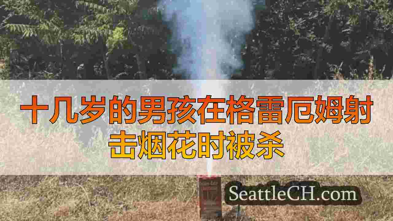 十几岁的男孩在格雷厄姆射击烟花时被杀