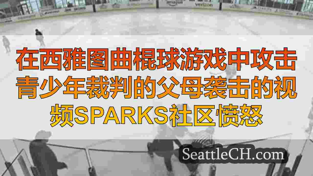 在西雅图曲棍球游戏中攻击青少年裁判的父母袭击的视频Sparks社区愤怒