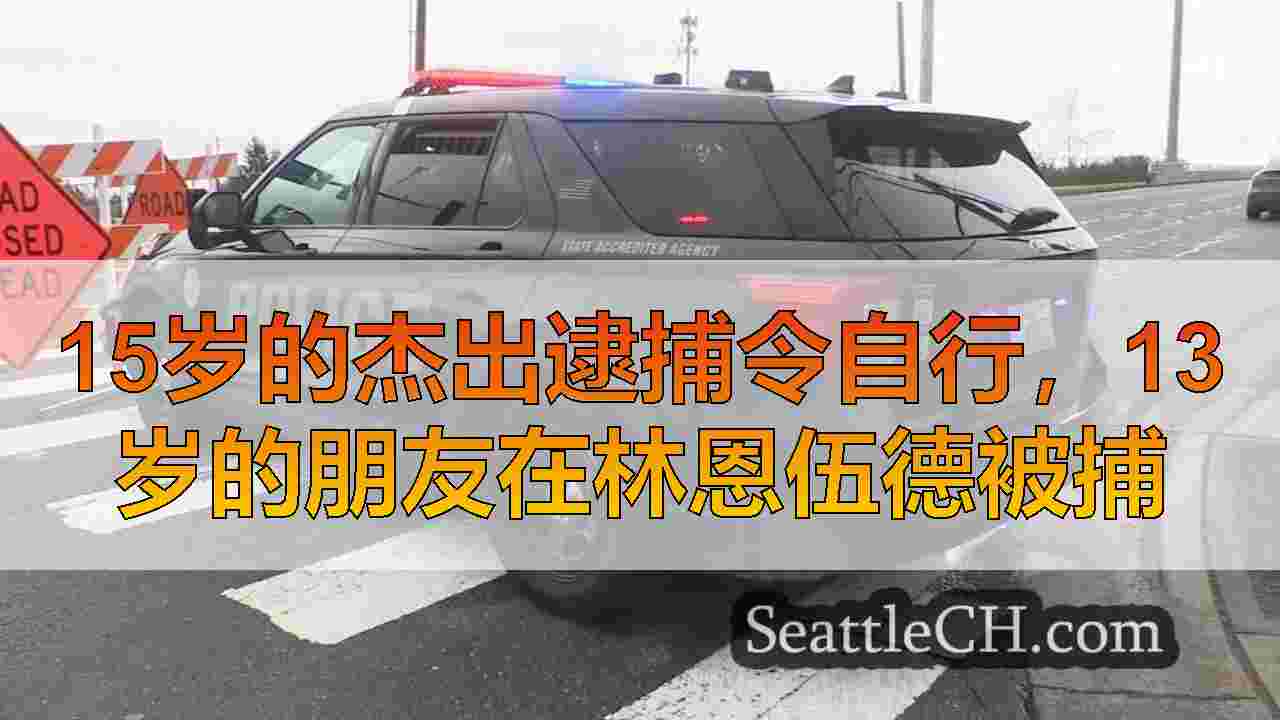 15岁的杰出逮捕令自行，13岁的朋友在林恩伍德被捕