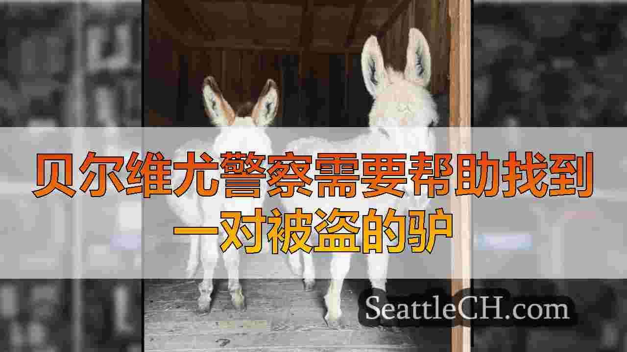 贝尔维尤警察需要帮助找到一对被盗的驴