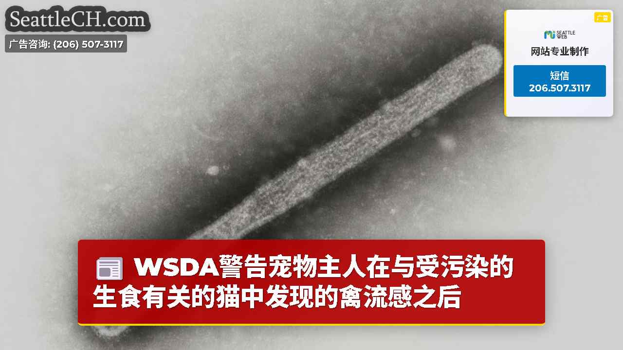 WSDA警告宠物主人在与受污染的生食有关的猫中发现的禽流感之后