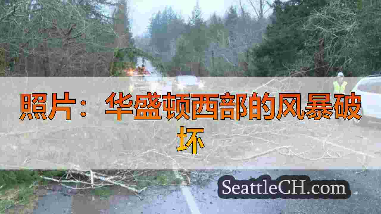 西雅图新闻 SeattleCH