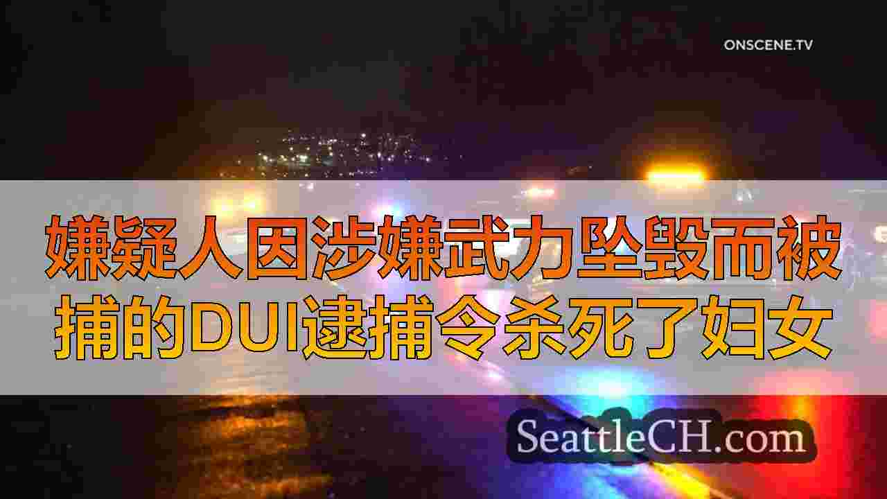 嫌疑人因涉嫌武力坠毁而被捕的DUI逮捕令杀死了妇女