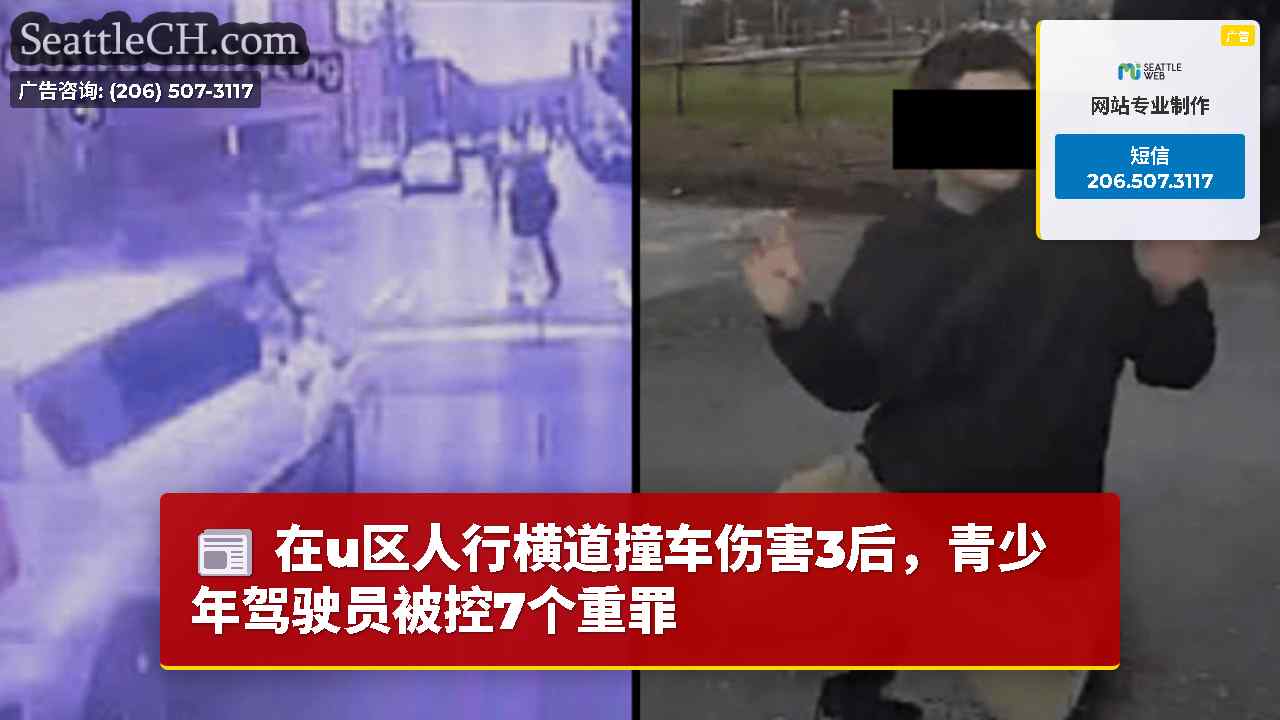 在u区人行横道撞车伤害3后，青少年驾驶员被控7个重罪
