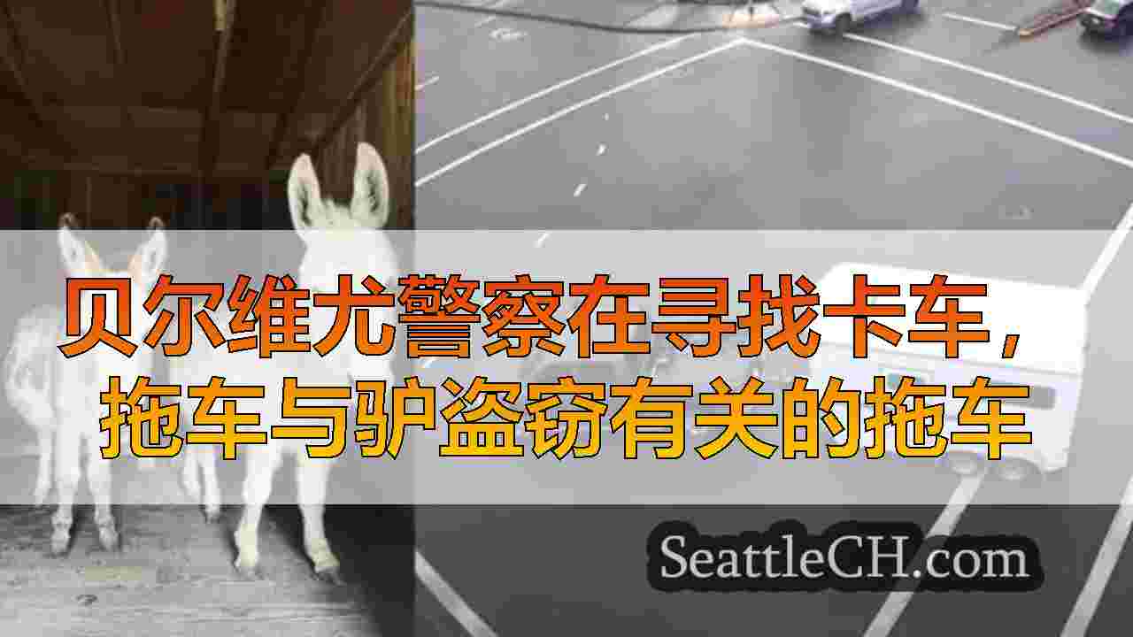 贝尔维尤警察在寻找卡车，拖车与驴盗窃有关的拖车