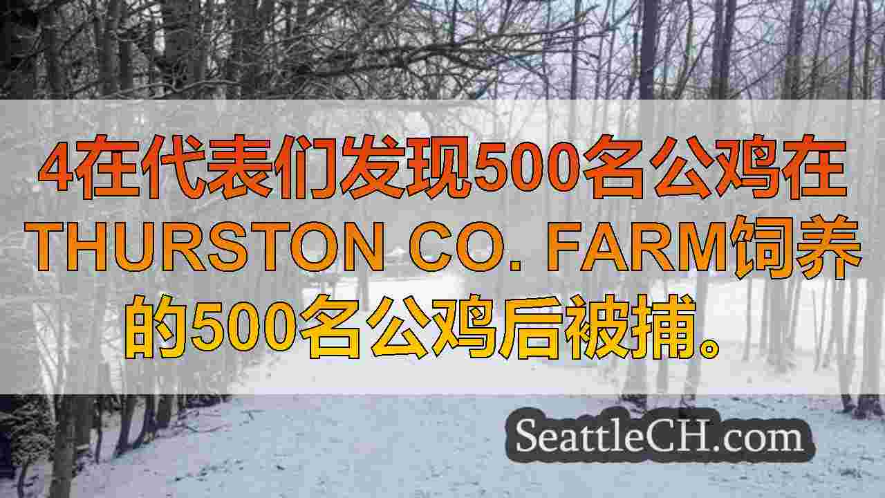 西雅图新闻 SeattleCH