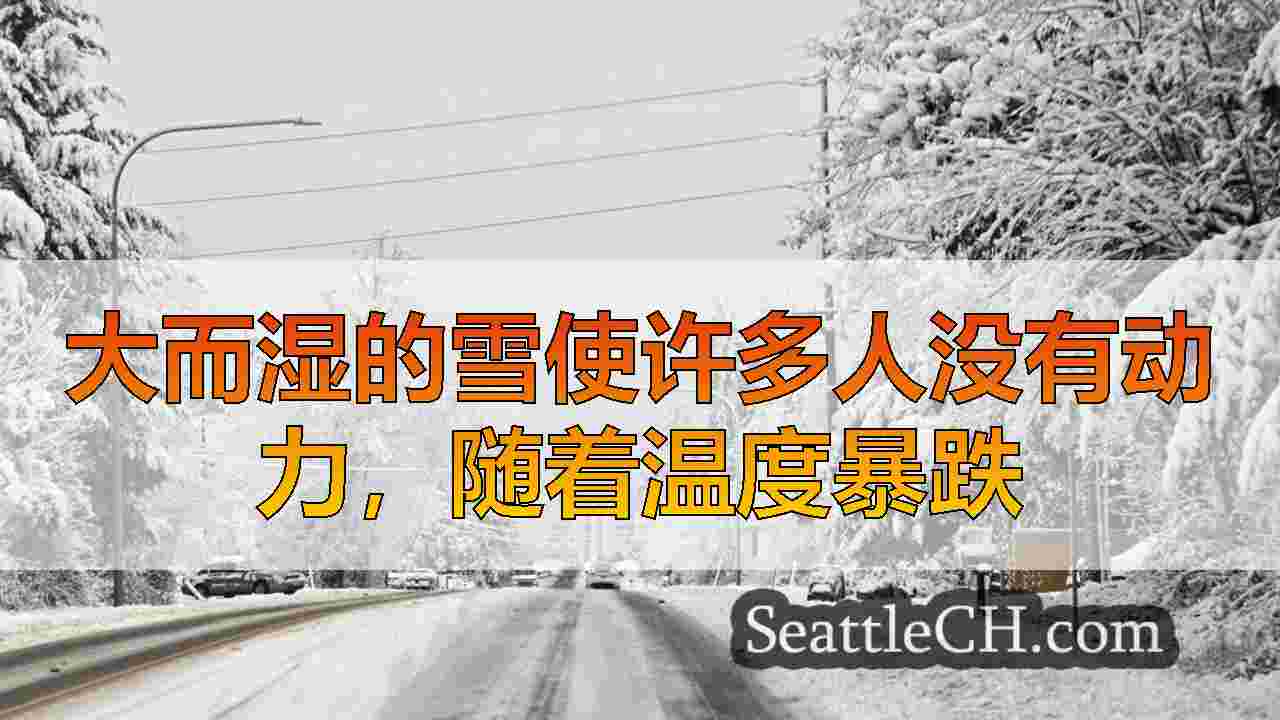 大而湿的雪使许多人没有动力，随着温度暴跌