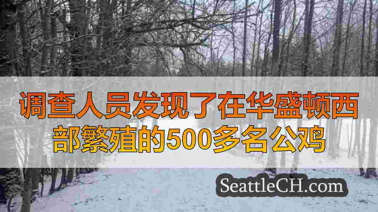 西雅图新闻 SeattleCH
