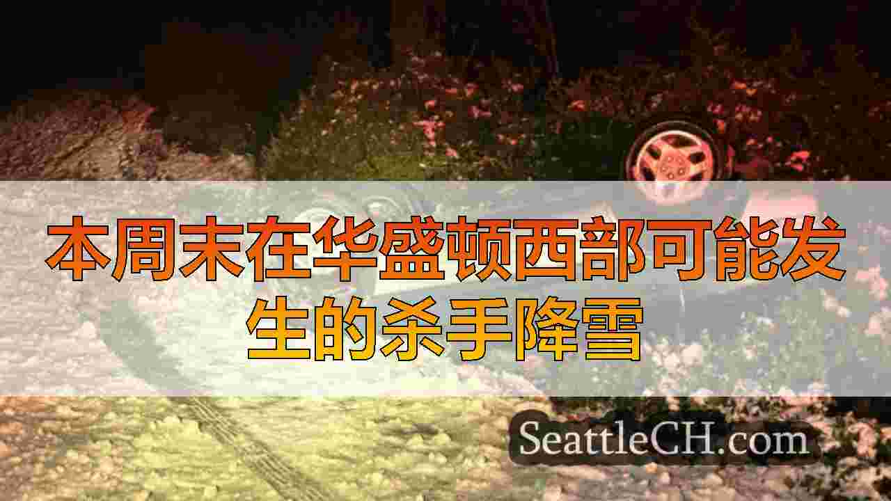 西雅图新闻 SeattleCH