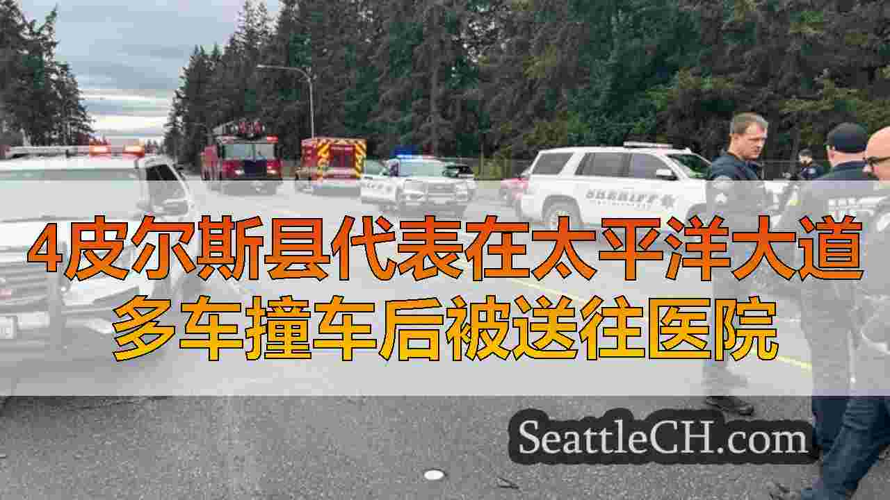 西雅图新闻 SeattleCH