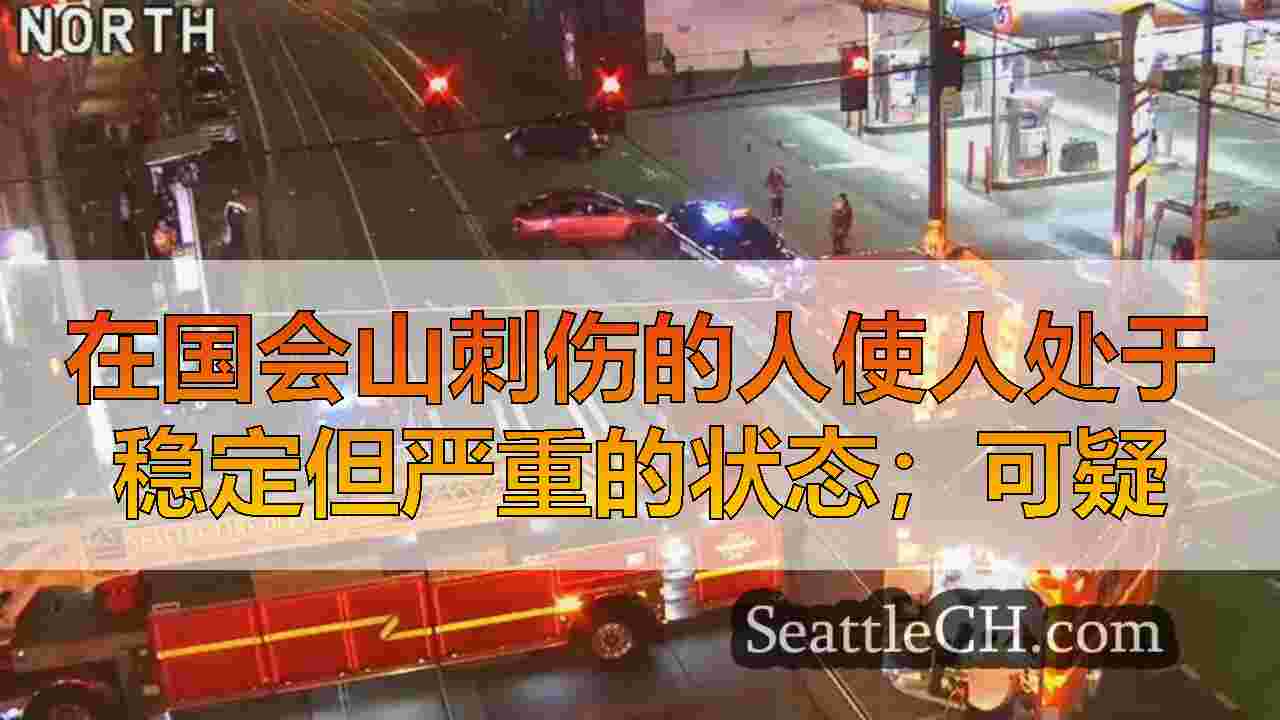 在国会山刺伤的人使人处于稳定但严重的状态；可疑