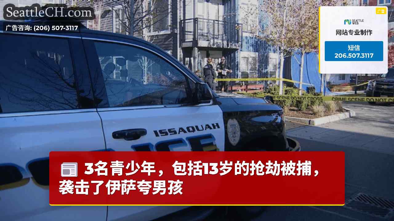 3名青少年，包括13岁的抢劫被捕，袭击了伊萨夸男孩
