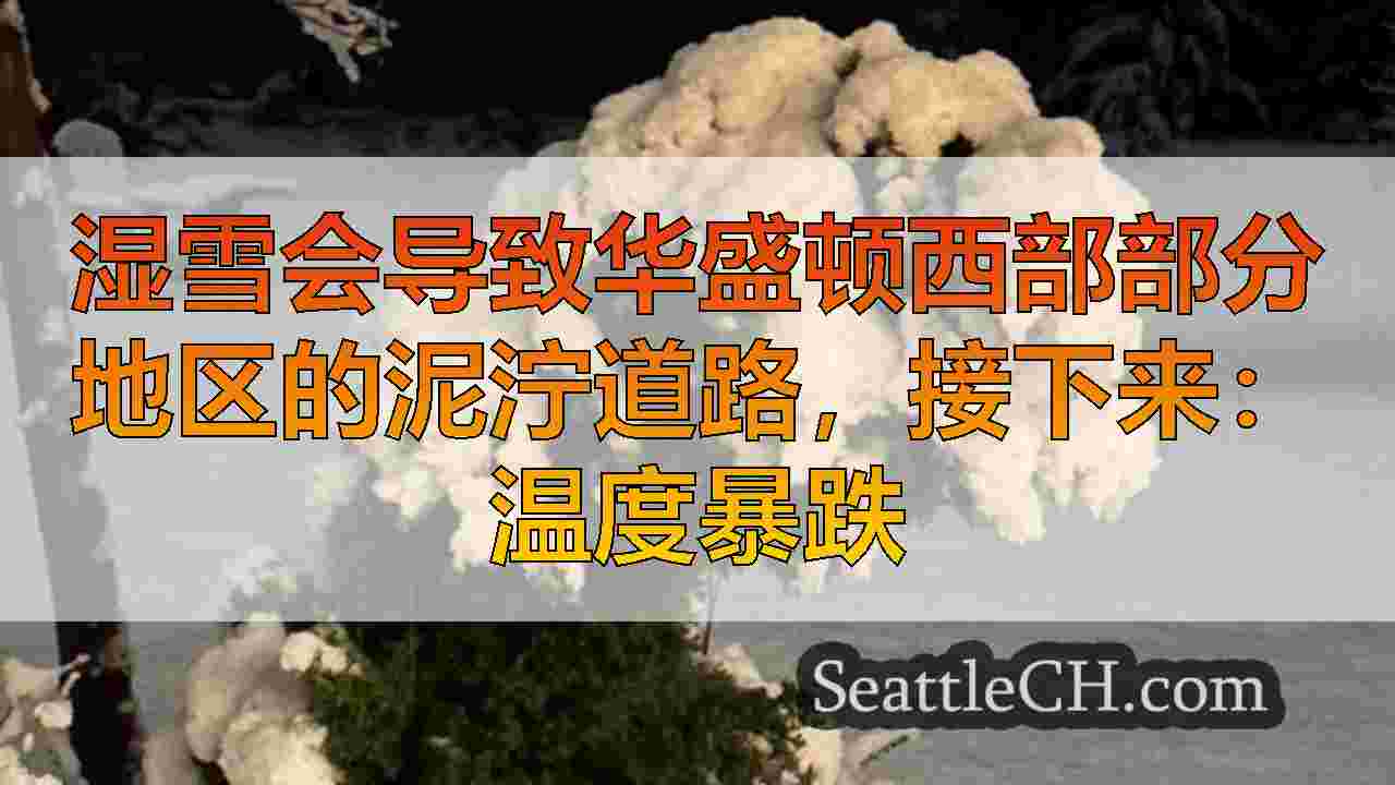 西雅图新闻 SeattleCH