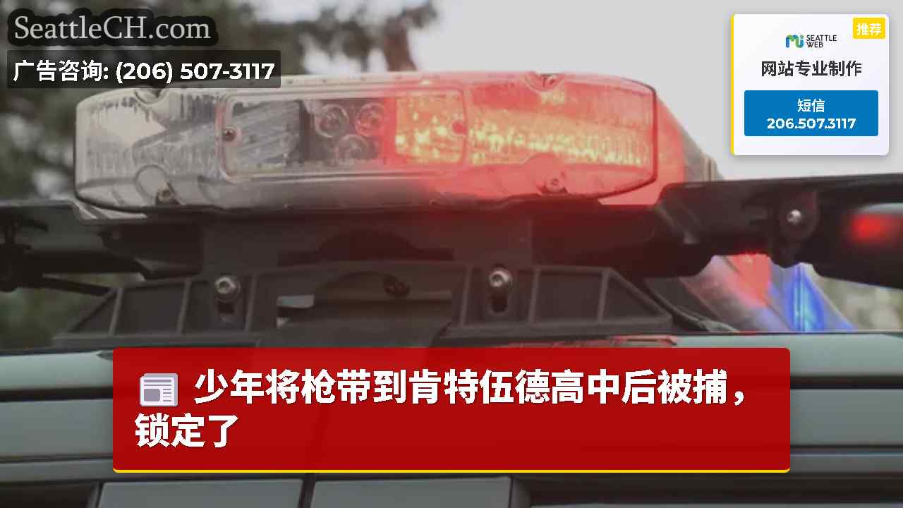 少年将枪带到肯特伍德高中后被捕，锁定了