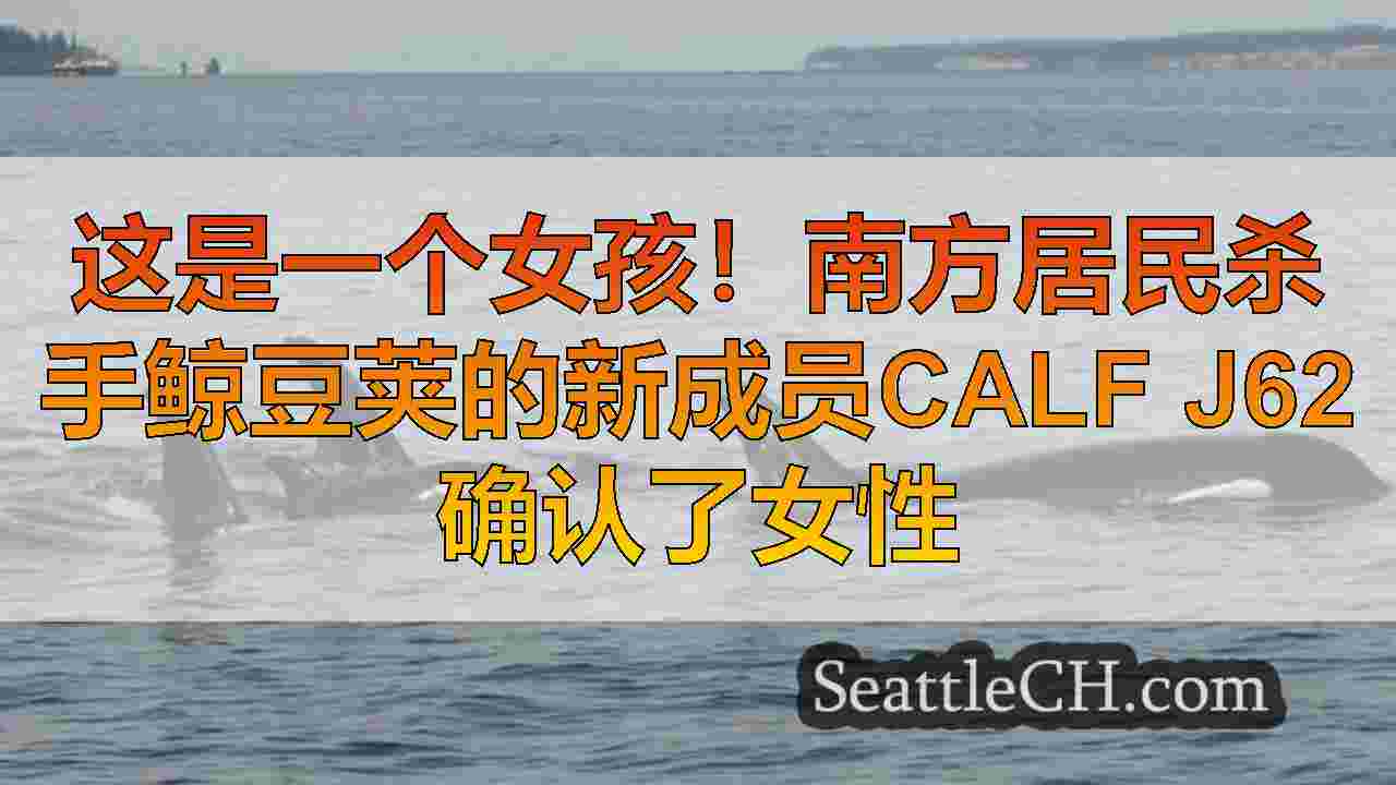 西雅图新闻 SeattleCH