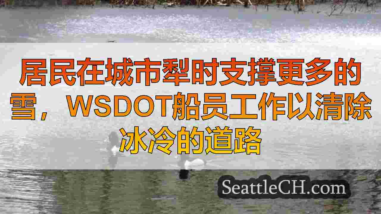 西雅图新闻 SeattleCH