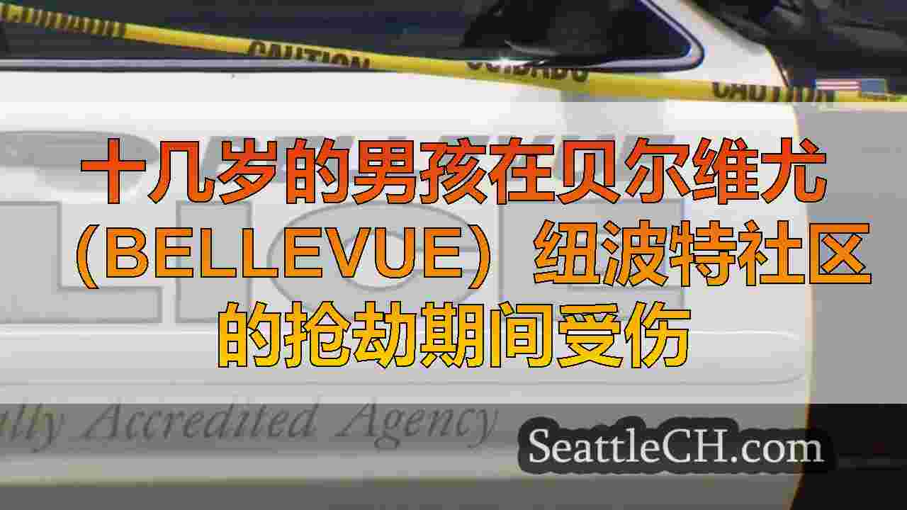 十几岁的男孩在贝尔维尤（Bellevue）纽波特社区的抢劫期间受伤