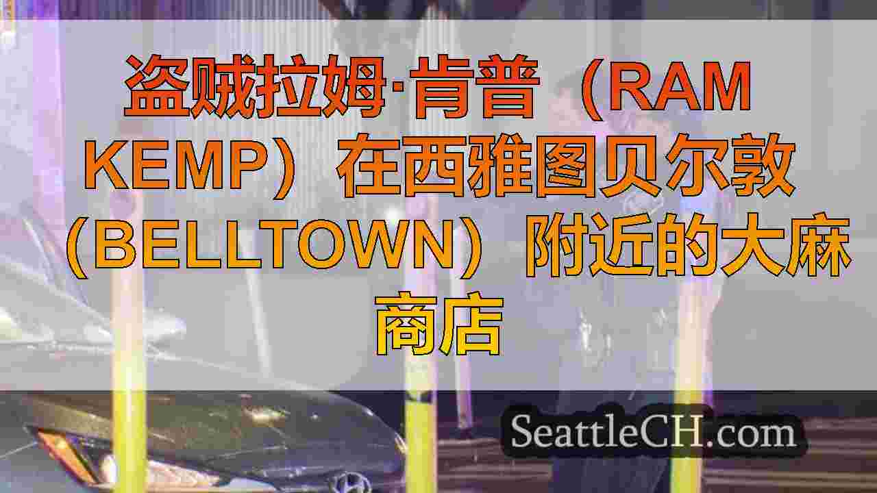 西雅图新闻 SeattleCH