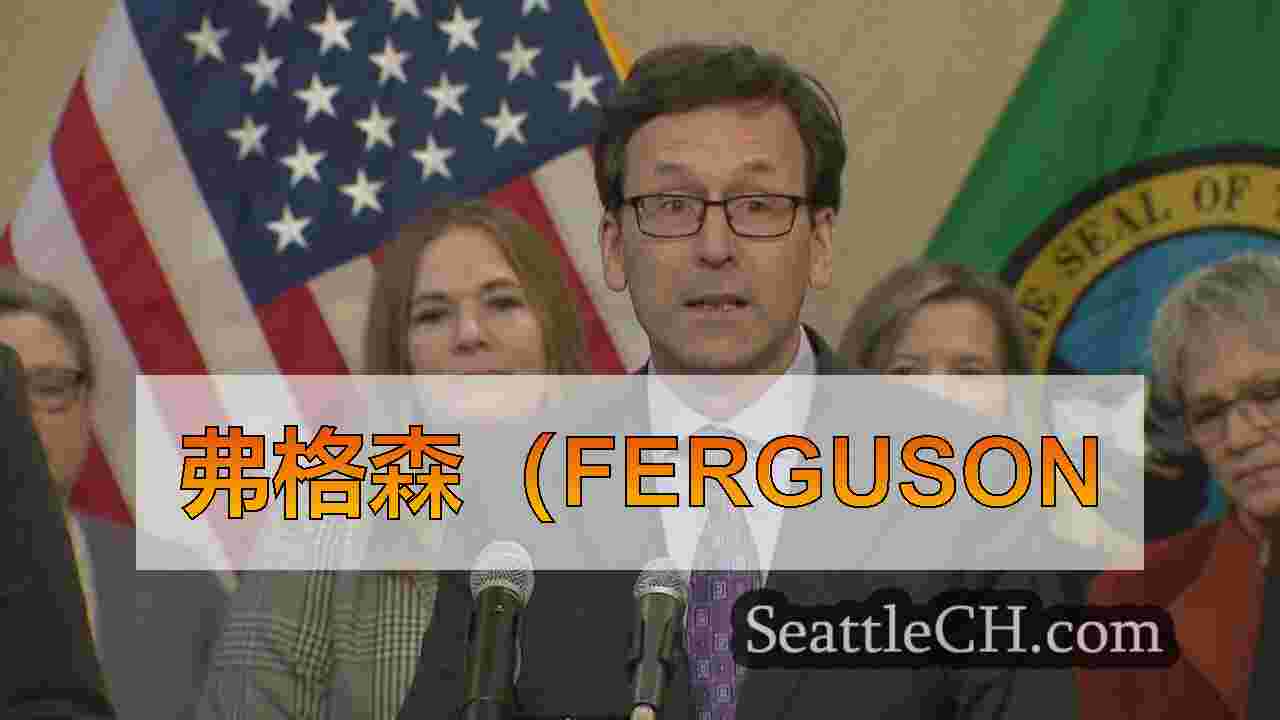 弗格森（Ferguson