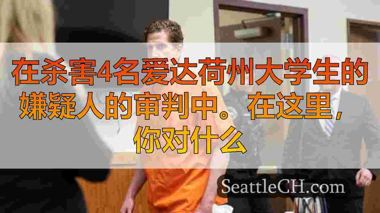 西雅图新闻 SeattleCH