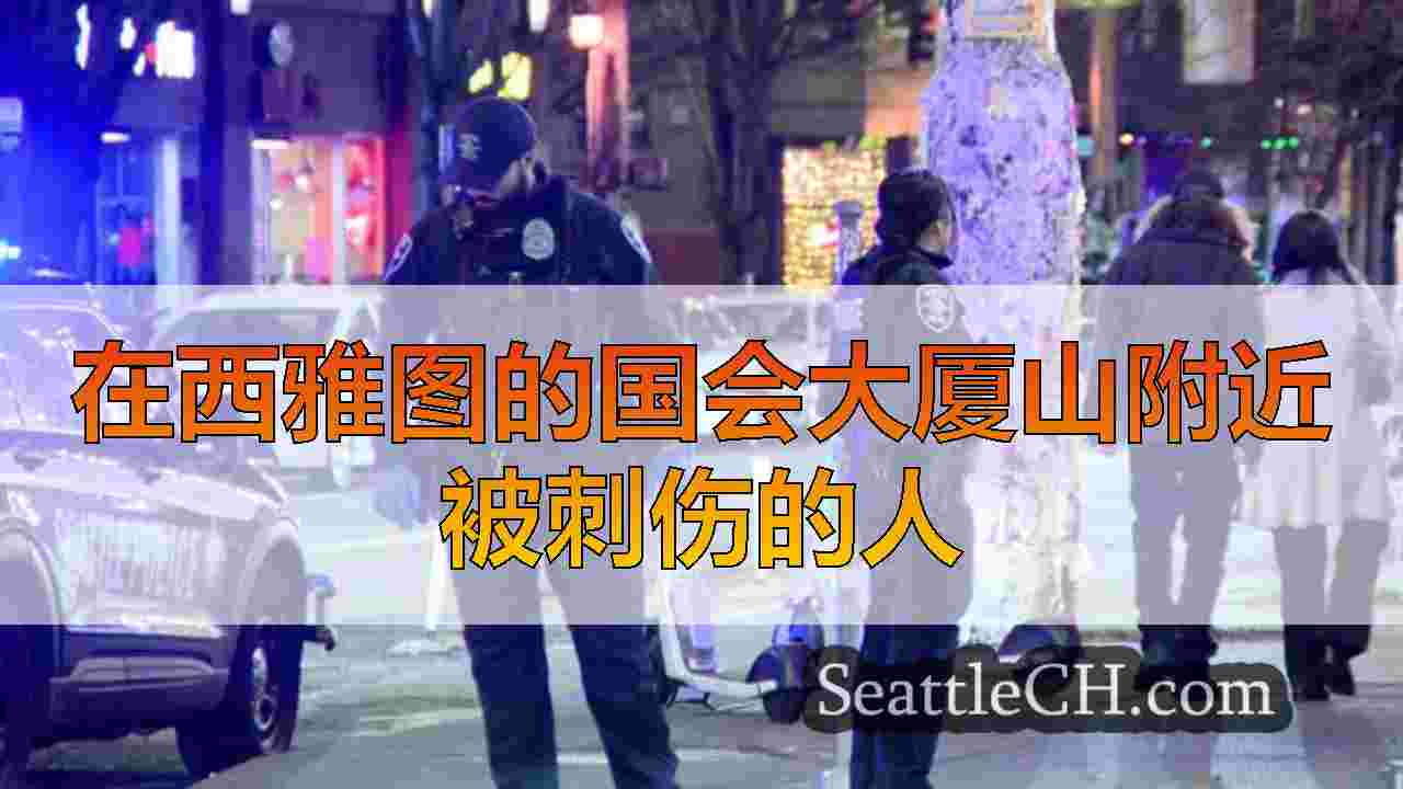 在西雅图的国会大厦山附近被刺伤的人