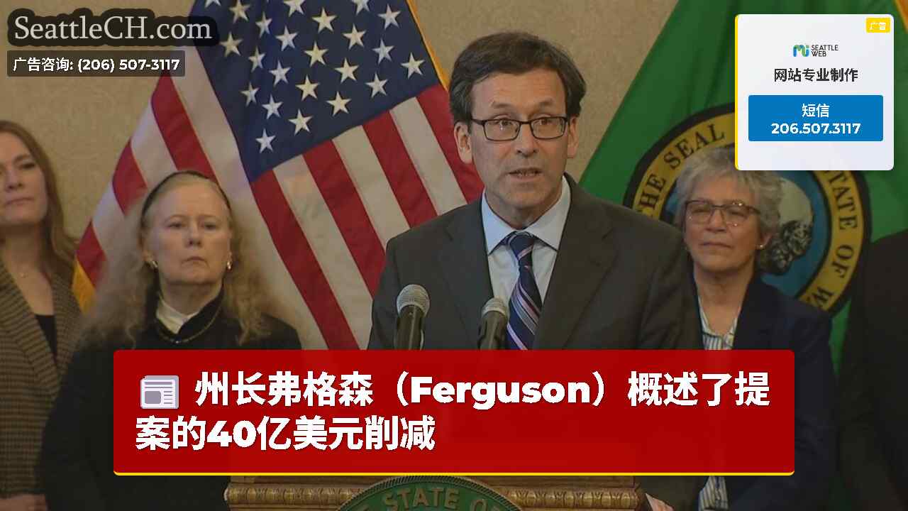 州长弗格森（Ferguson）概述了提案的40亿美元削减