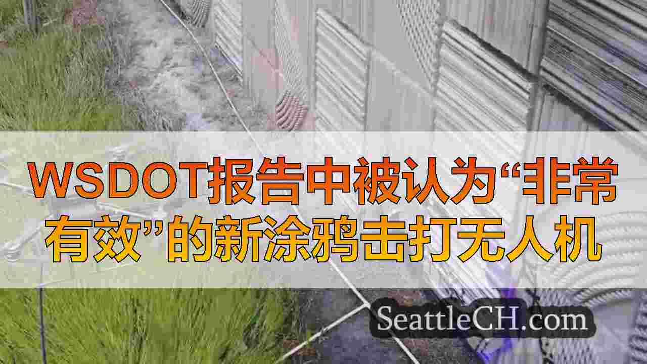WSDOT报告中被认为“非常有效”的新涂鸦击打无人机