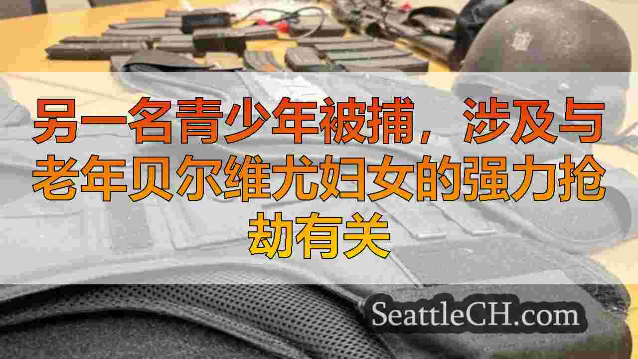 西雅图新闻 SeattleCH