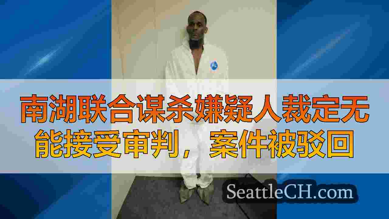 南湖联合谋杀嫌疑人裁定无能接受审判，案件被驳回