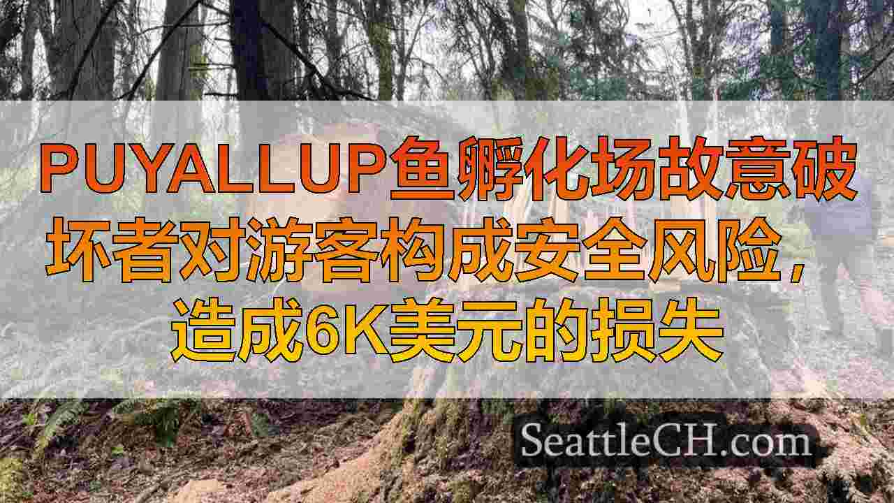 puyallup鱼孵化场故意破坏者对游客构成安全风险，造成6k美元的损失
