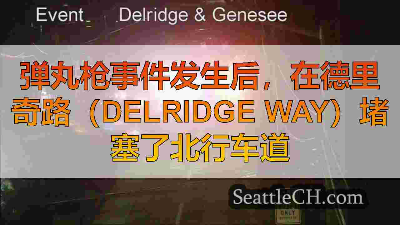 弹丸枪事件发生后，在德里奇路（Delridge Way）堵塞了北行车道