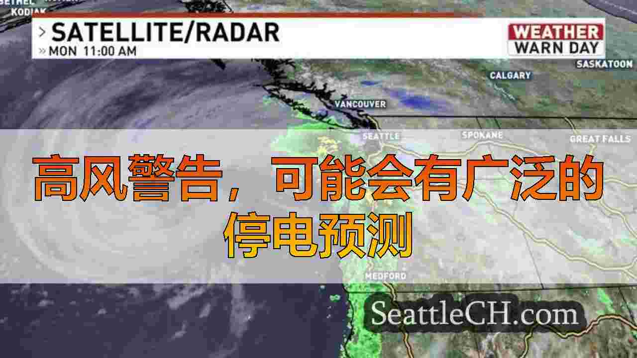 西雅图新闻 SeattleCH