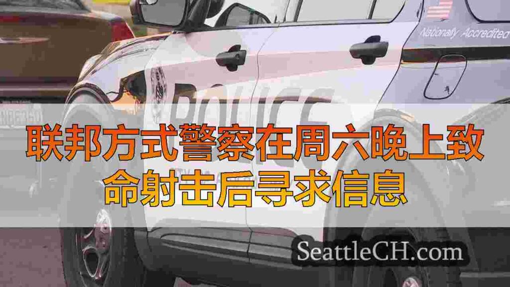 联邦方式警察在周六晚上致命射击后寻求信息