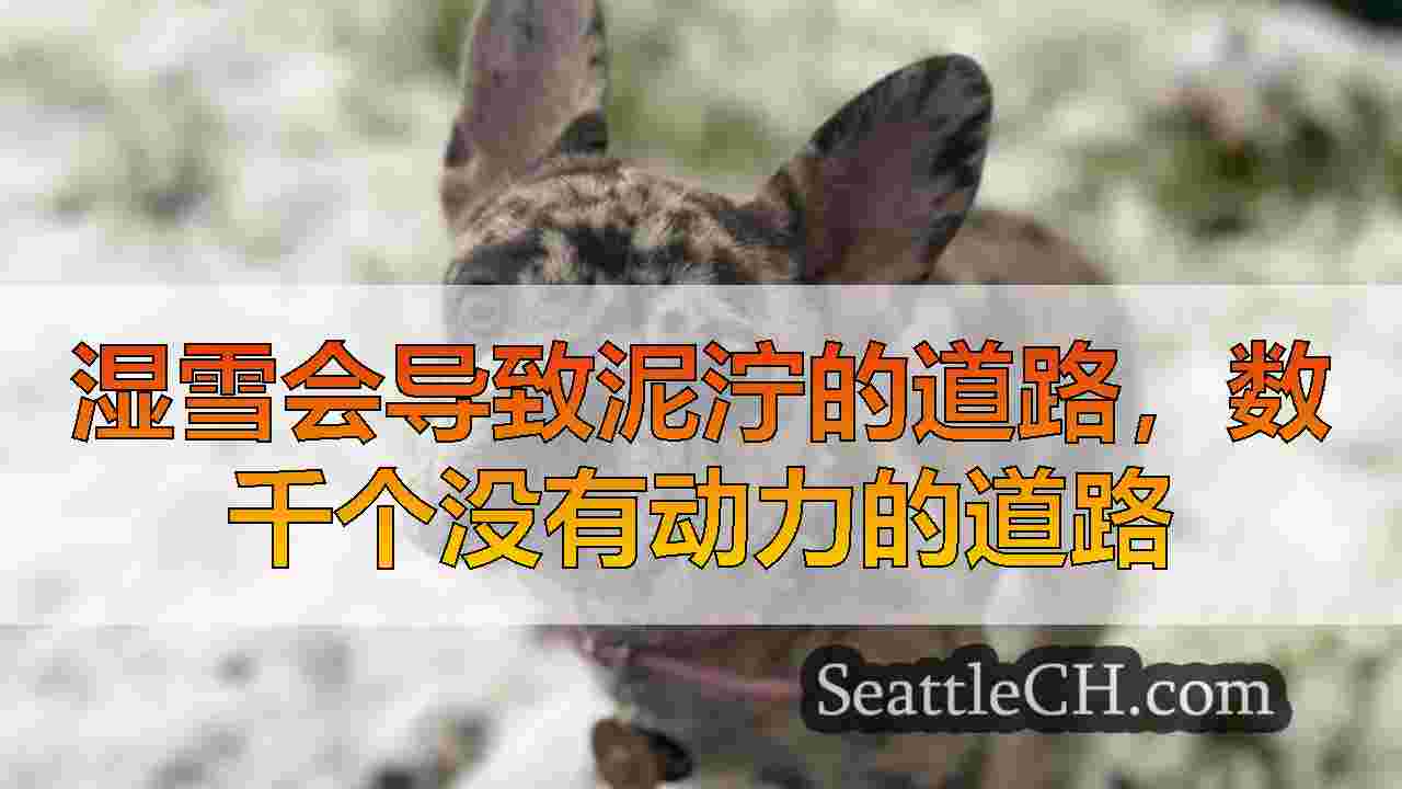 西雅图新闻 SeattleCH
