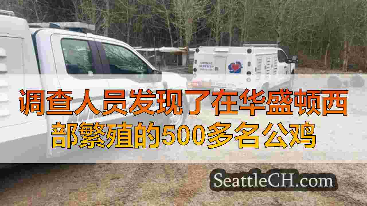 西雅图新闻 SeattleCH