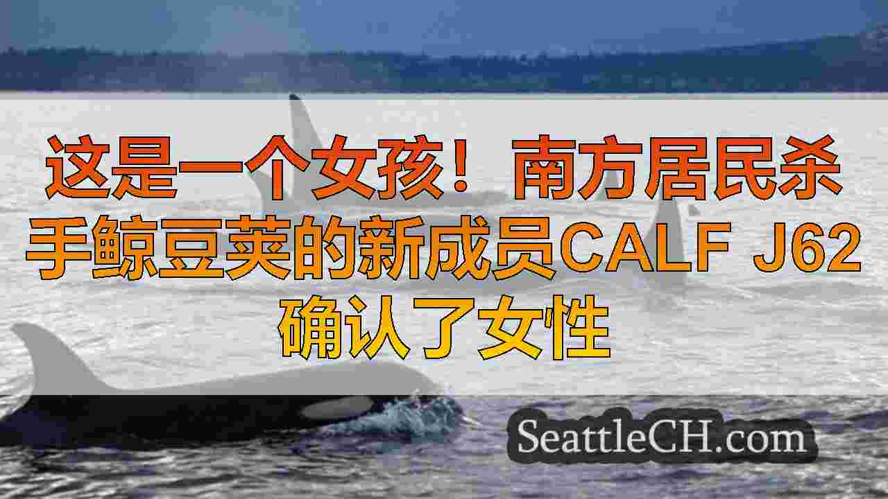 西雅图新闻 SeattleCH
